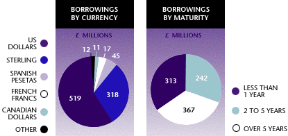 Borrowings by Currency / Maturity